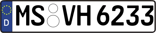 MS-VH6233