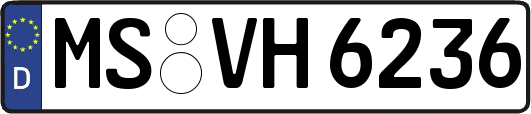 MS-VH6236