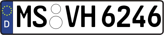 MS-VH6246