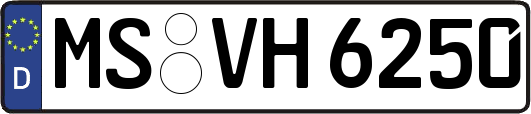 MS-VH6250