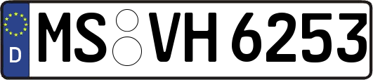 MS-VH6253