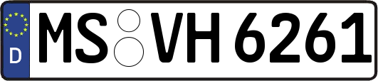 MS-VH6261