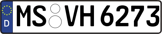 MS-VH6273