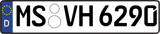 MS-VH6290