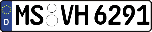 MS-VH6291