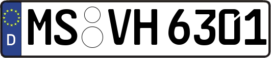 MS-VH6301