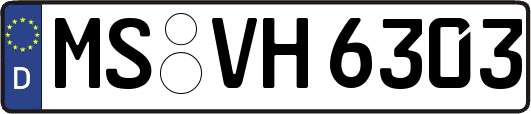 MS-VH6303