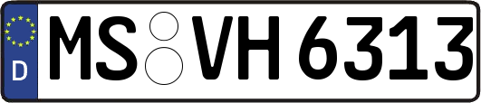 MS-VH6313