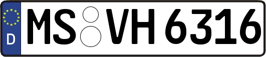 MS-VH6316