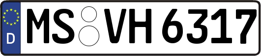 MS-VH6317