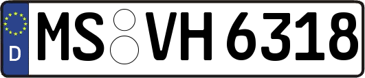 MS-VH6318