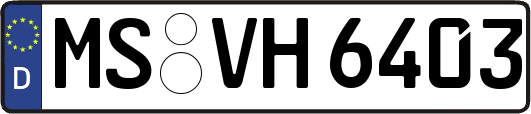 MS-VH6403