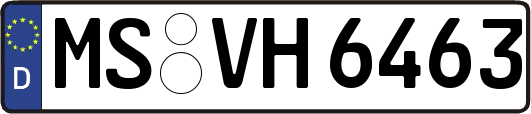 MS-VH6463