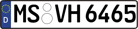 MS-VH6465