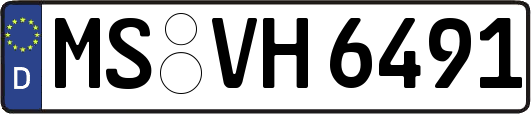 MS-VH6491
