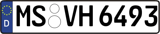 MS-VH6493