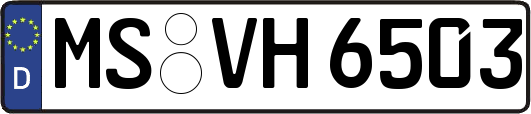 MS-VH6503