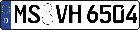 MS-VH6504