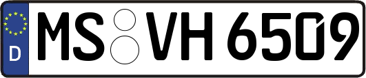 MS-VH6509