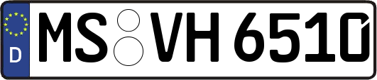 MS-VH6510