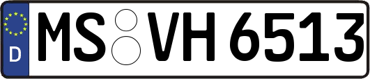 MS-VH6513