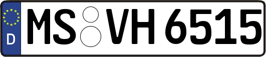 MS-VH6515