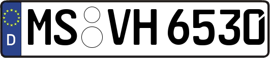 MS-VH6530