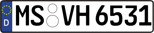 MS-VH6531