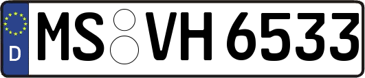 MS-VH6533