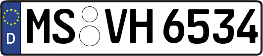 MS-VH6534