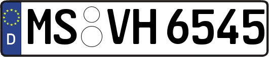 MS-VH6545