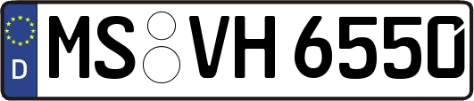 MS-VH6550