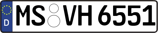 MS-VH6551