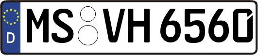 MS-VH6560