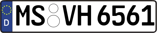 MS-VH6561