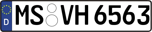 MS-VH6563