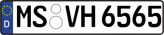 MS-VH6565