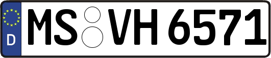 MS-VH6571