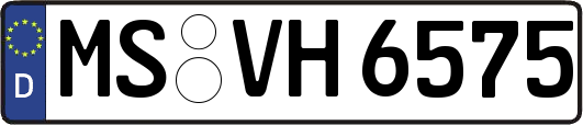 MS-VH6575