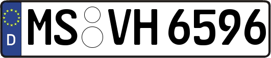MS-VH6596