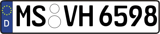 MS-VH6598