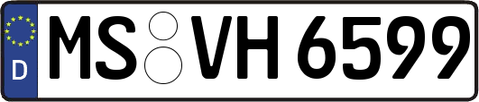 MS-VH6599