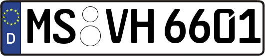 MS-VH6601