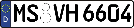 MS-VH6604