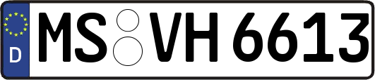 MS-VH6613