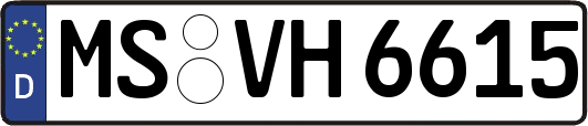 MS-VH6615