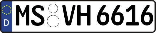 MS-VH6616