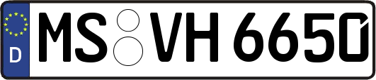 MS-VH6650
