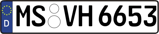 MS-VH6653