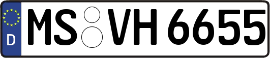 MS-VH6655